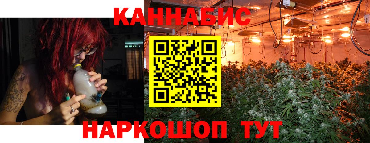 Бошки марихуана конопля  МАРИХУАНА конопля  Марихуана THC 21%  Вход с VPN  Конопля VHQ  Ялта 